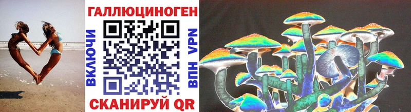 купить наркотик  Николаевск  Галлюциногенные грибы Psilocybe 